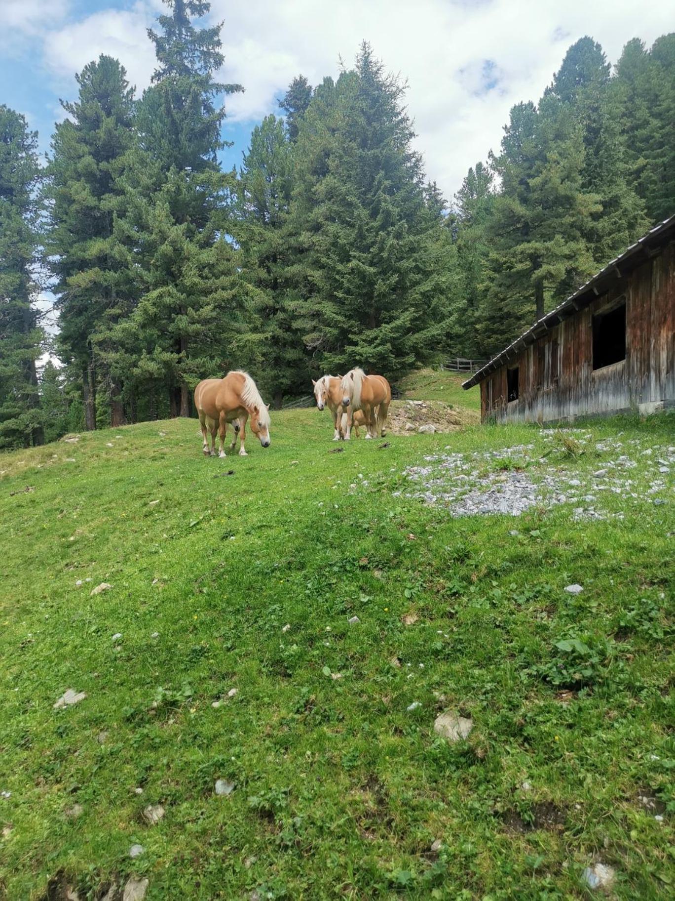 Pitztal Living Aparthotel แยร์สเซินส์ ภายนอก รูปภาพ